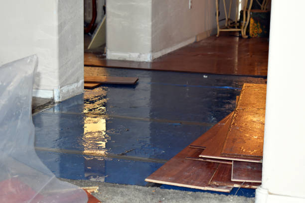 Professional Flood Cleanup technician working in Amity, OR